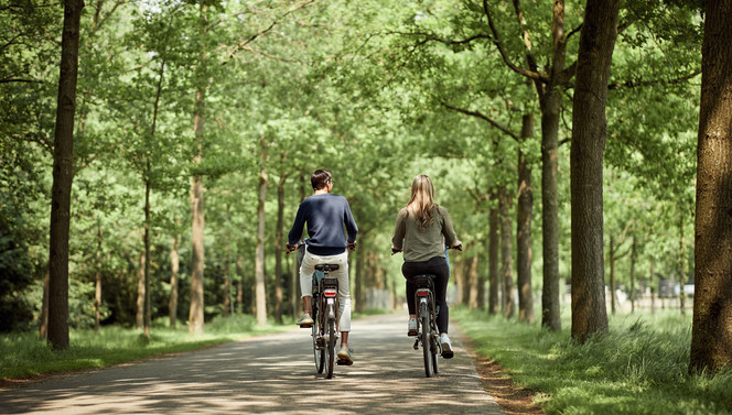 E-bike arrangement