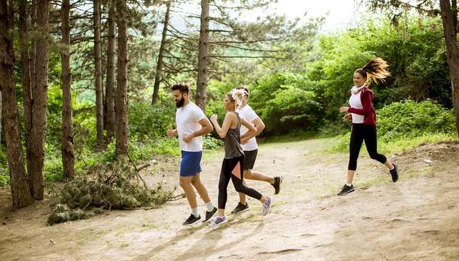 Joggen in den Wäldern von De Bilt