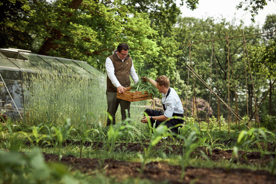 Moestuin de Bilt