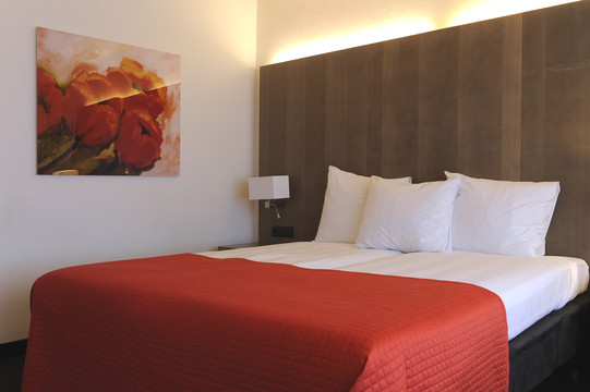 Comfort Deluxe room- Van der Valk Hotel De Bilt - Utrecht