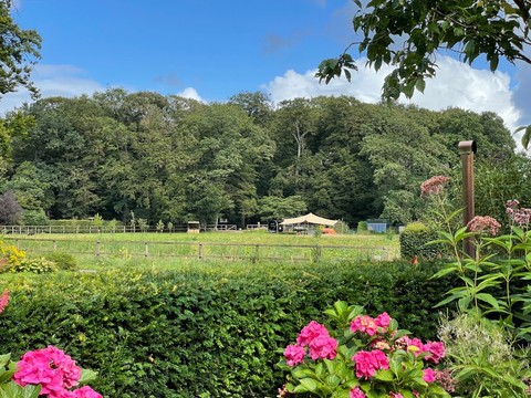 Ontdek de Bilt