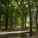 Wandelen in Utrecht