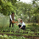 Vegetable- and Flower garden