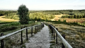 Natuurlijke omgeving